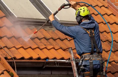 Démoussage et hydrofuge de toiture à la Tour-de-Sçay